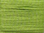 SL156 Kiwi - Silk Lame Braid 18