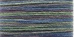 M925 Variegated Meadow Land  - Mandarin Bamboo Floss