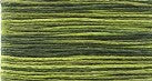 M928 Variegated Green Fields  - Mandarin Bamboo Floss