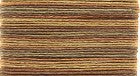 M929 Variegated Golden Hills  - Mandarin Bamboo Floss