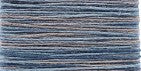 M930 Variegated Winter Sky  - Mandarin Bamboo Floss