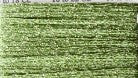 NP73 Spring Green - Neon Rays Plus