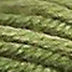 V1052 Lettuce - Planet Earth 6 Ply (Variegated)