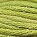 V1058 Shrub - Planet Earth 6 Ply (Variegated)