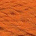 156 Pumpkin - Planet Earth Wool