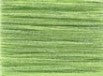 PY422 Kiwi Kissed - Frosty Rays Petite