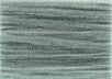 PY425 Lily Pad - Frosty Rays Petite