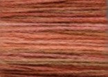 RT55 Paprika - Rainbow Tweed