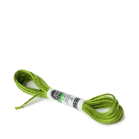 Soie d'alger SDF-2124 - Cigale
